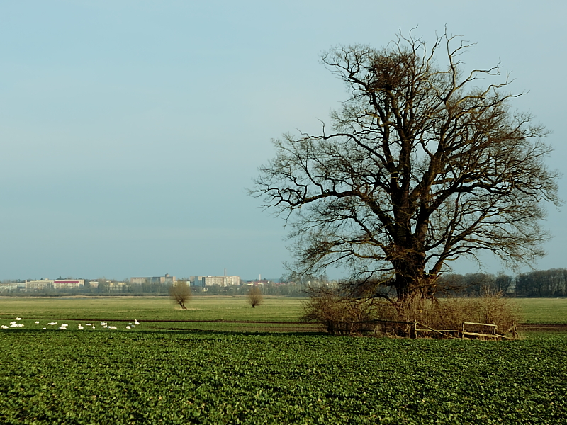 Wanderungen Wandern Fotowanderung