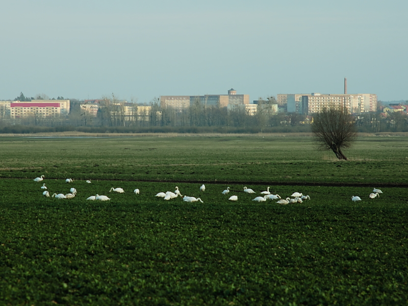 Wanderungen Wandern Fotowanderung