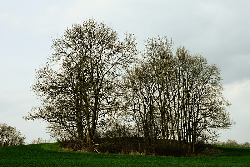 Wanderungen Wandern Fotowanderung