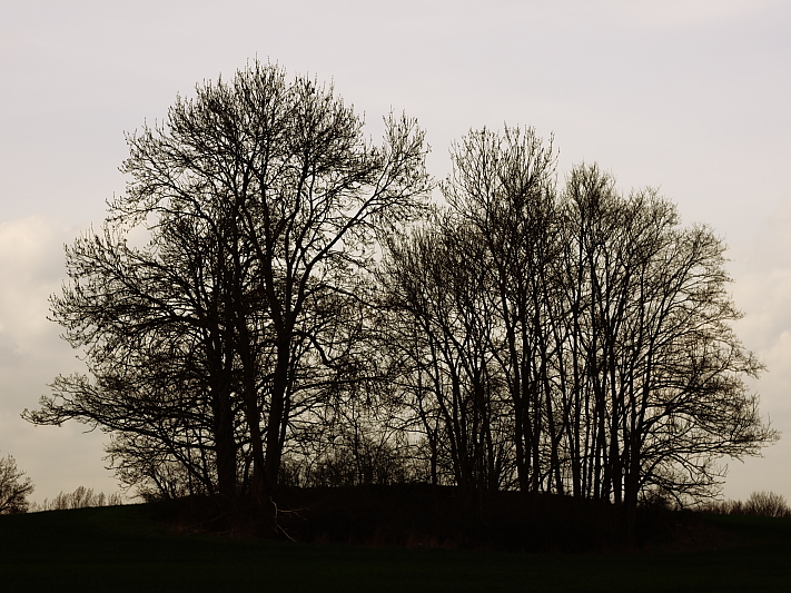 Wanderungen Wandern Fotowanderung