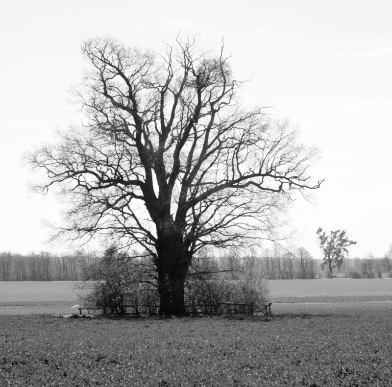 Wanderungen Wandern Fotowanderung