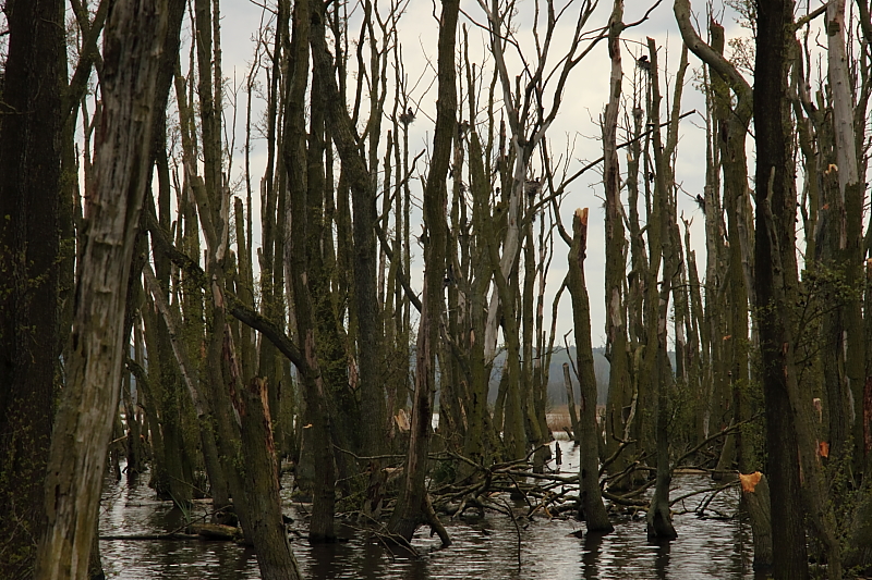 Wanderungen Wandern Fotowanderung