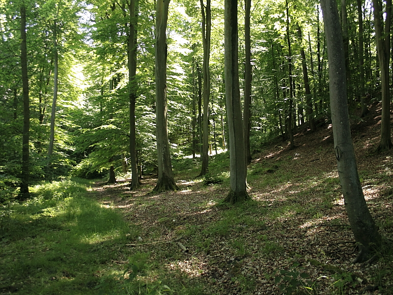 Wanderungen Wandern Fotowanderung