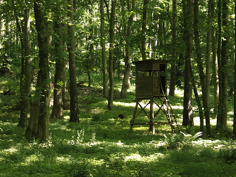 Wanderungen Wandern Fotowanderung