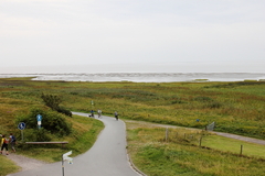 Wattenmeer Sandwatt Schlickwatt Nordsee