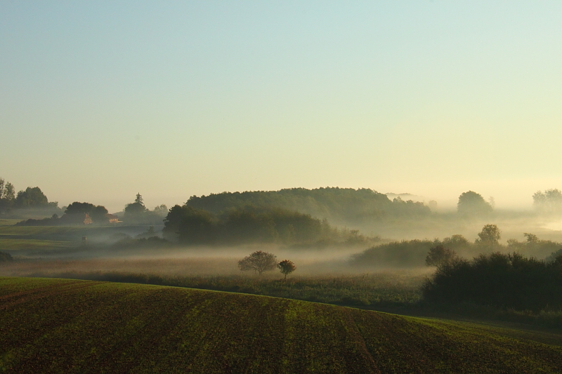 Wetter