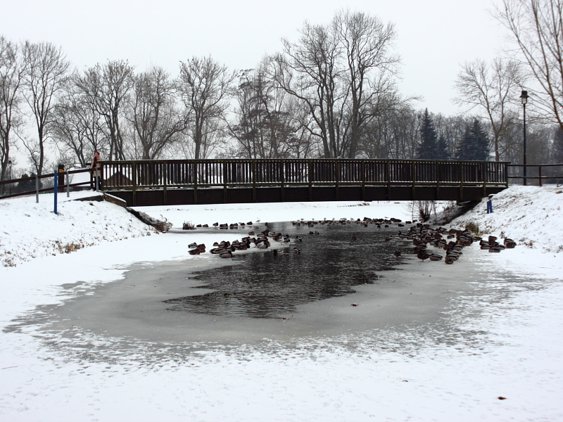 Stadtpark Malchin im Winter