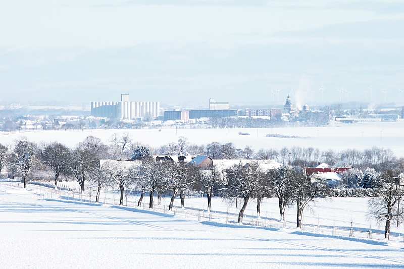 Winter