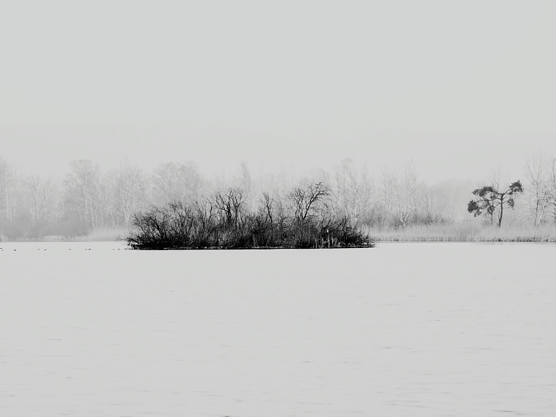 Winterlandschaft Winterlandschaften Romantisch