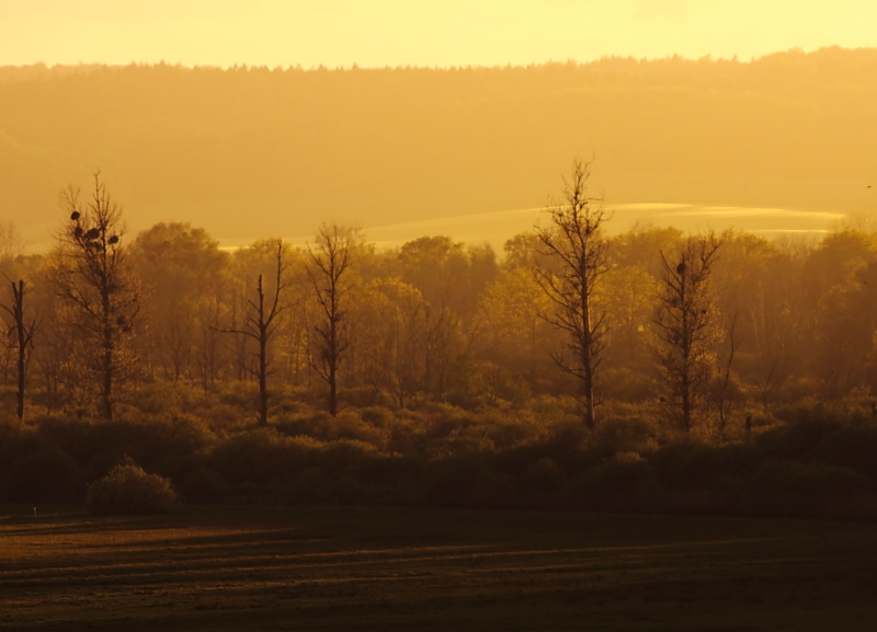 Wolke: Wolkenlandschaften Cumuluswolken Cirruswolken Wolkenbilder